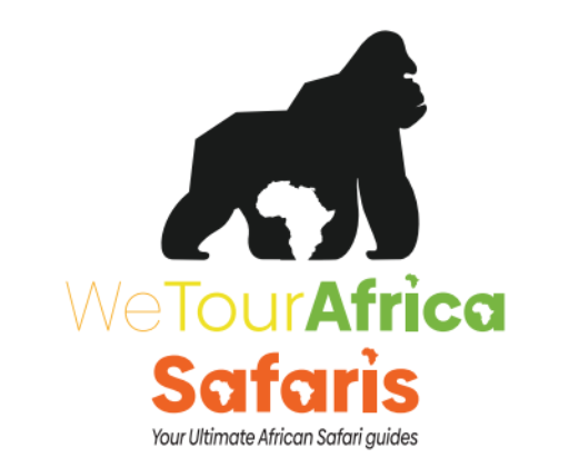 We Tour Africa Safaris