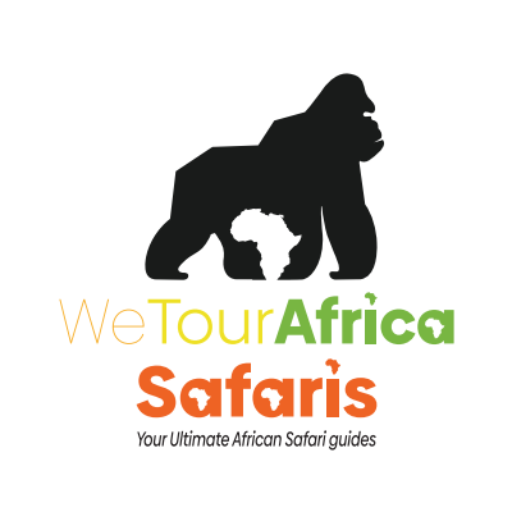 We Tour Africa Safaris logo