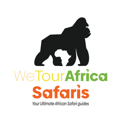 We Tour Africa Safaris