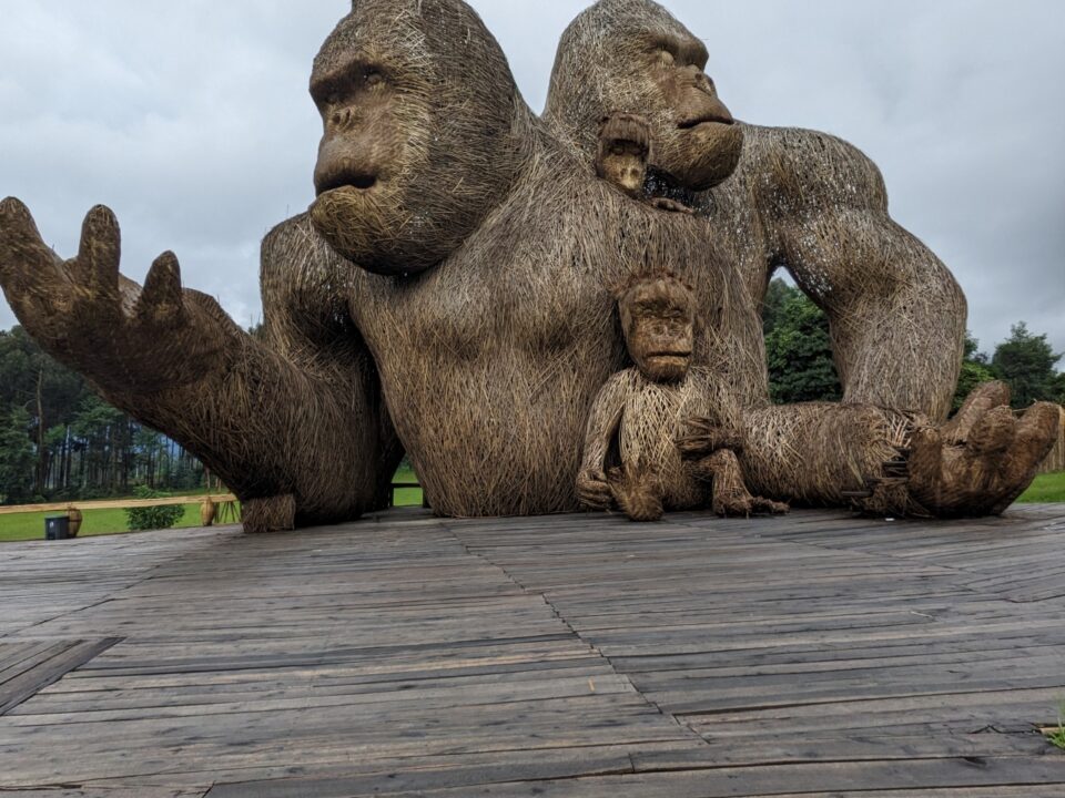 Kwita izina