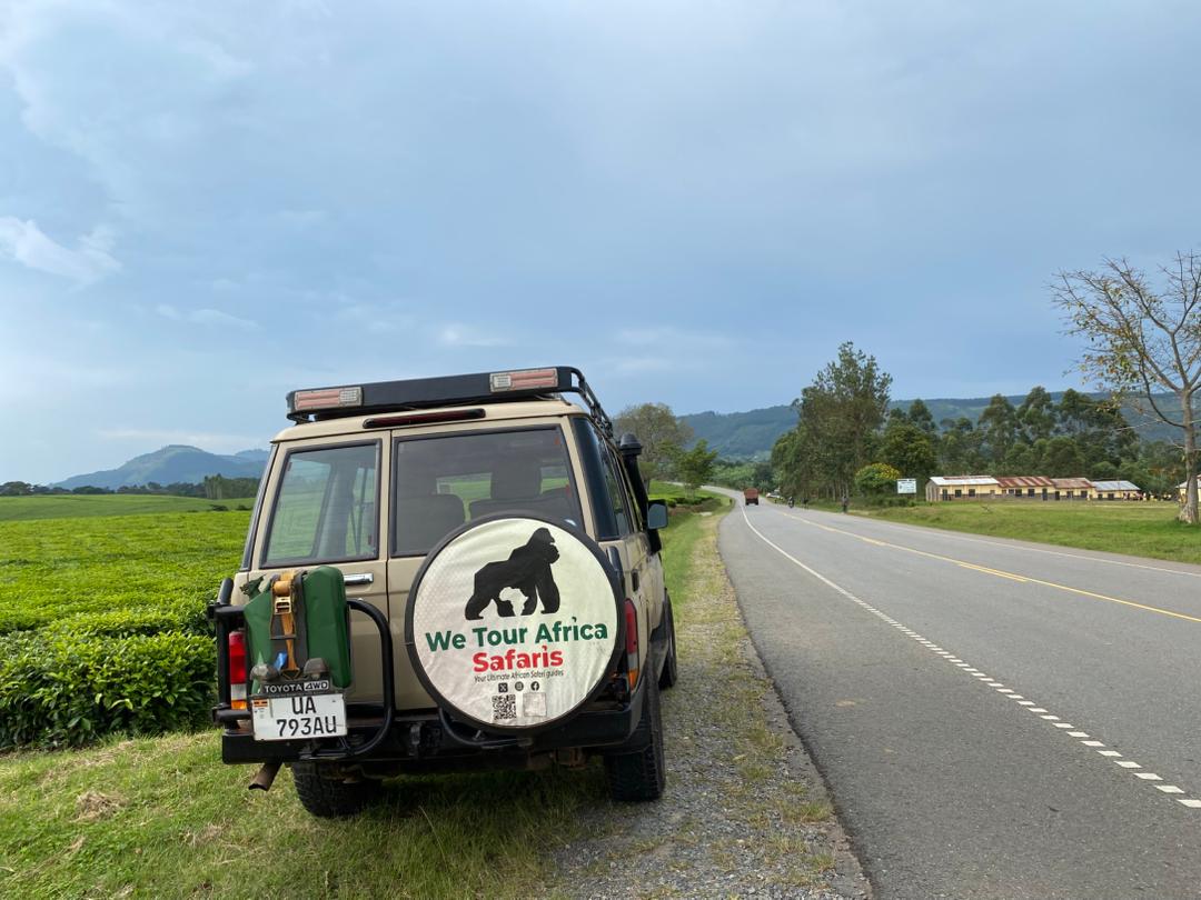 Uganda safari experience with We Tour Africa Safaris