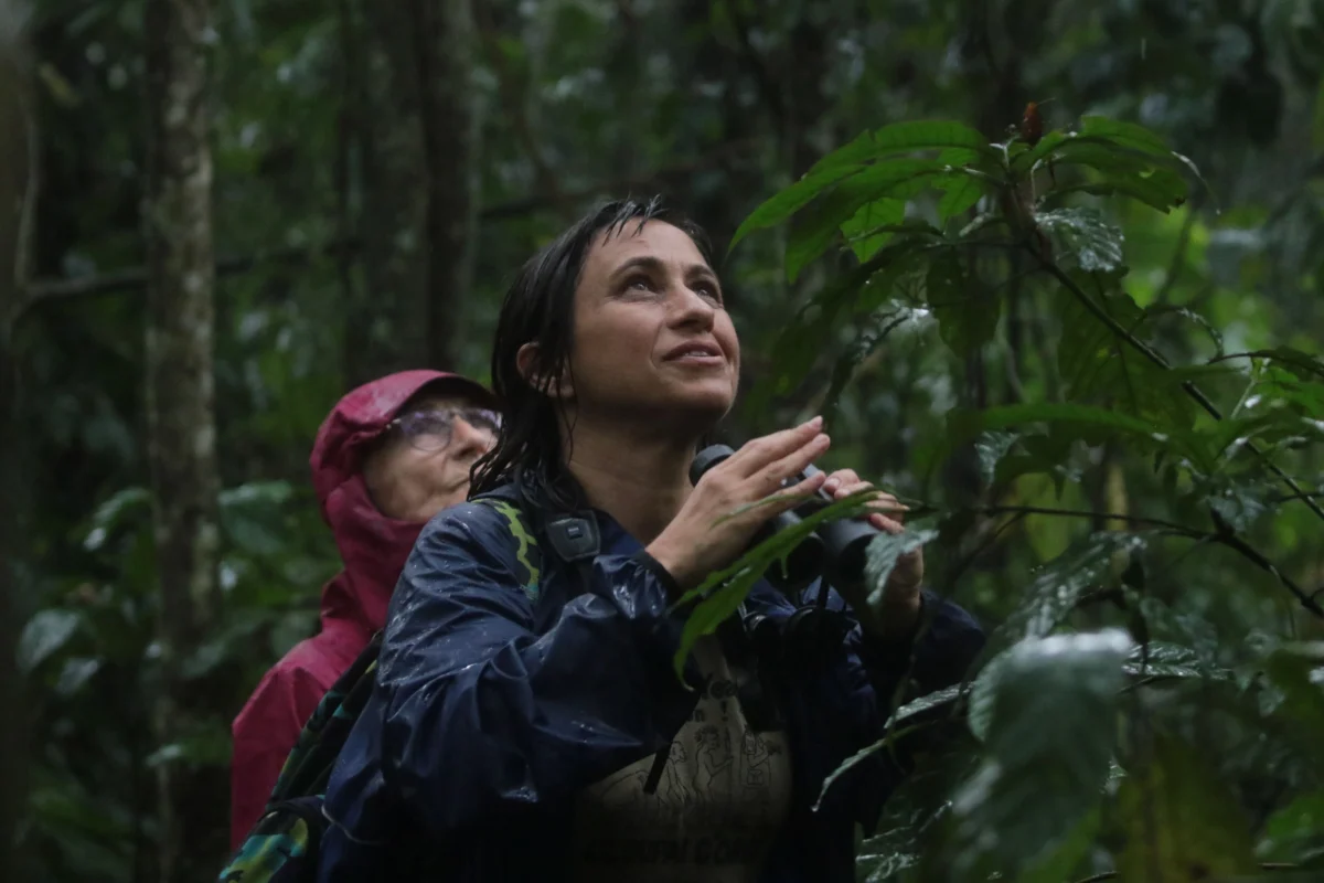 Chimps trekking in Kibale