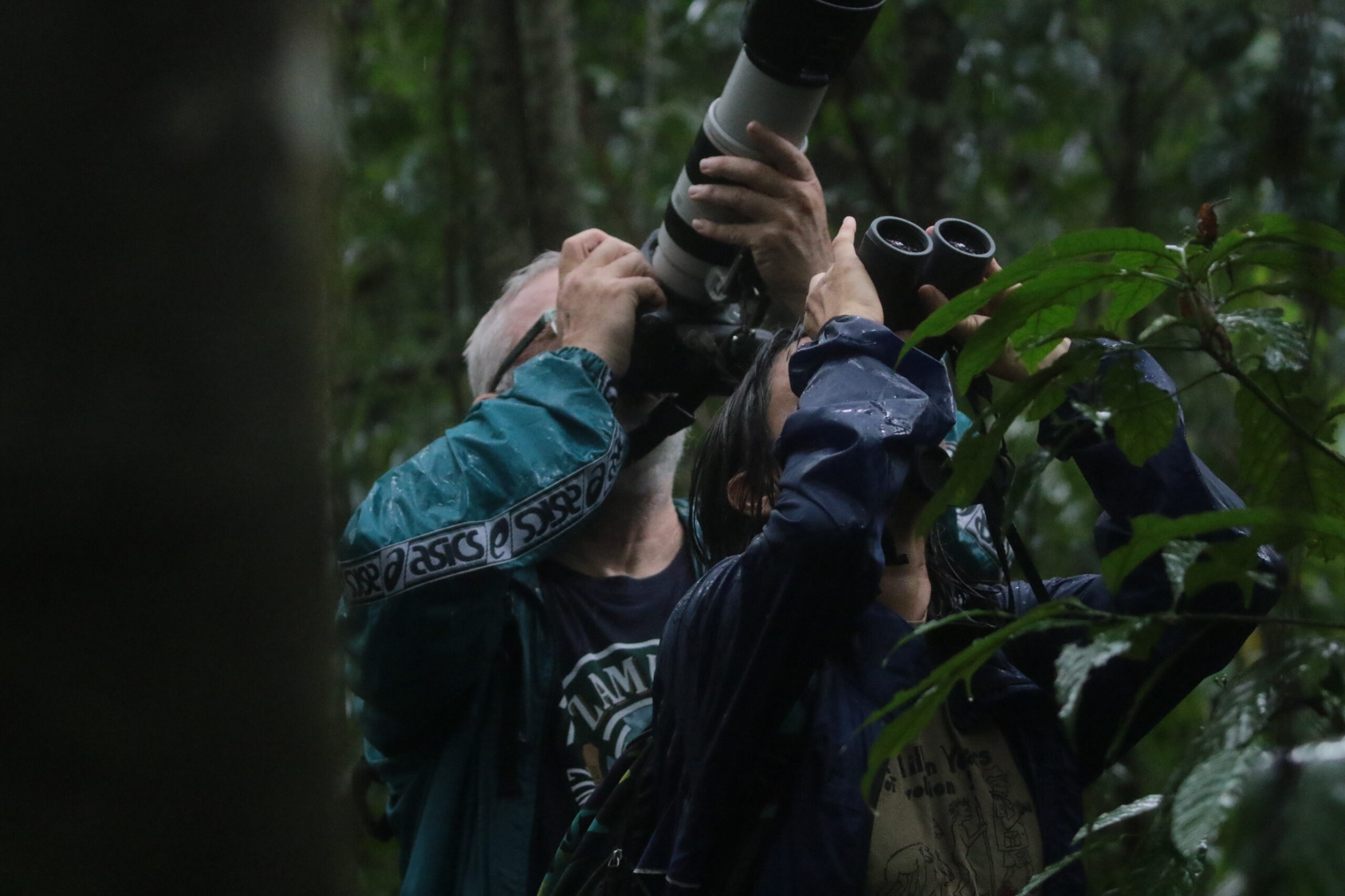 Luxury safari experience in Uganda