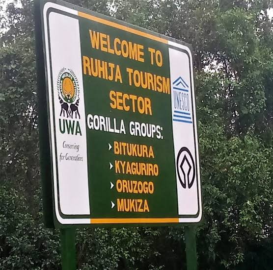 Ruhija sector Bwindi