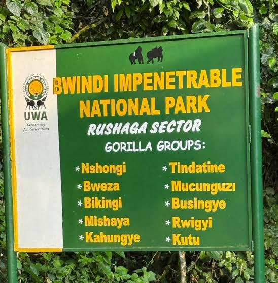Rushaga sector Bwindi