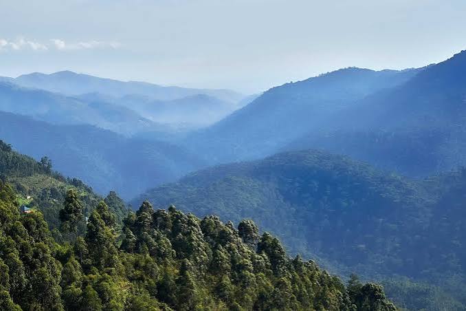 Bwindi Impenetrable National Park rainforest